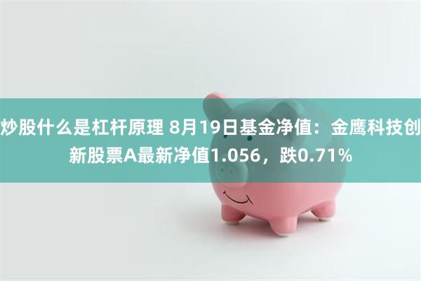 炒股什么是杠杆原理 8月19日基金净值：金鹰科技创新股票A最新净值1.056，跌0.71%