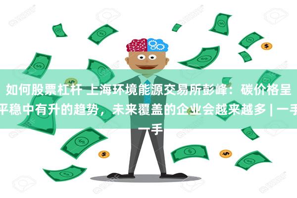 如何股票杠杆 上海环境能源交易所彭峰：碳价格呈平稳中有升的趋势，未来覆盖的企业会越来越多 | 一手