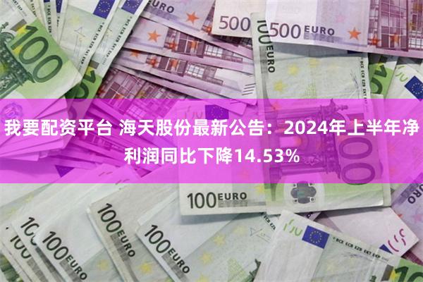 我要配资平台 海天股份最新公告：2024年上半年净利润同比下降14.53%