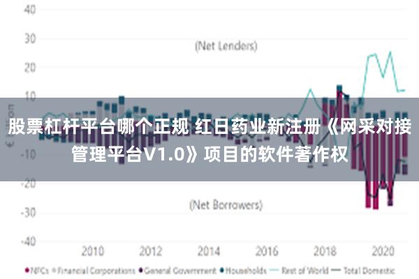 股票杠杆平台哪个正规 红日药业新注册《网采对接管理平台V1.0》项目的软件著作权