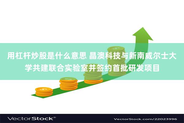 用杠杆炒股是什么意思 晶澳科技与新南威尔士大学共建联合实验室并签约首批研发项目