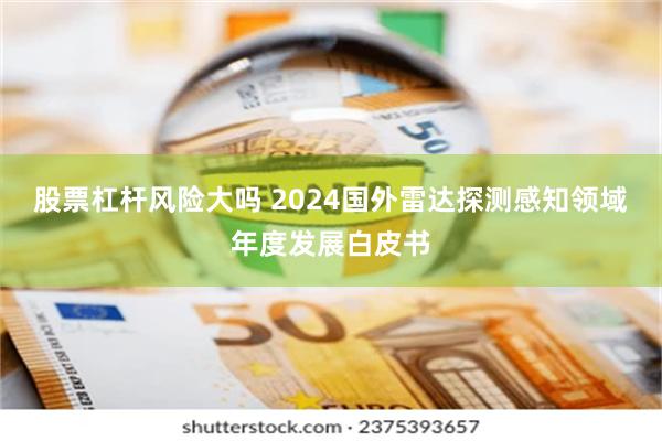 股票杠杆风险大吗 2024国外雷达探测感知领域年度发展白皮书