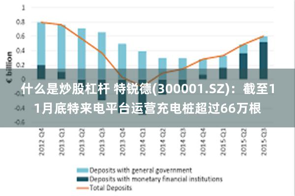 什么是炒股杠杆 特锐德(300001.SZ)：截至11月底特来电平台运营充电桩超过66万根