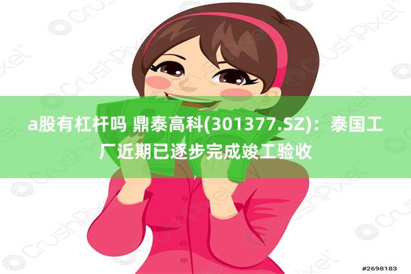 a股有杠杆吗 鼎泰高科(301377.SZ)：泰国工厂近期已逐步完成竣工验收