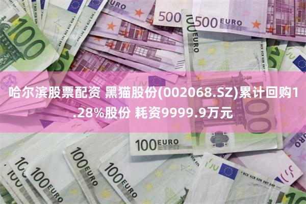 哈尔滨股票配资 黑猫股份(002068.SZ)累计回购1.28%股份 耗资9999.9万元